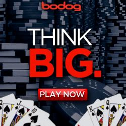 A Time To Win Bodog